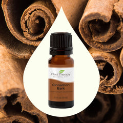 Scoarta de Scortisoara - Cinnamon Bark - Ulei esential