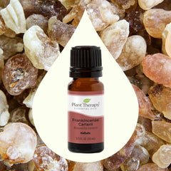 Tamaie - Frankincense Carteri - Ulei esential