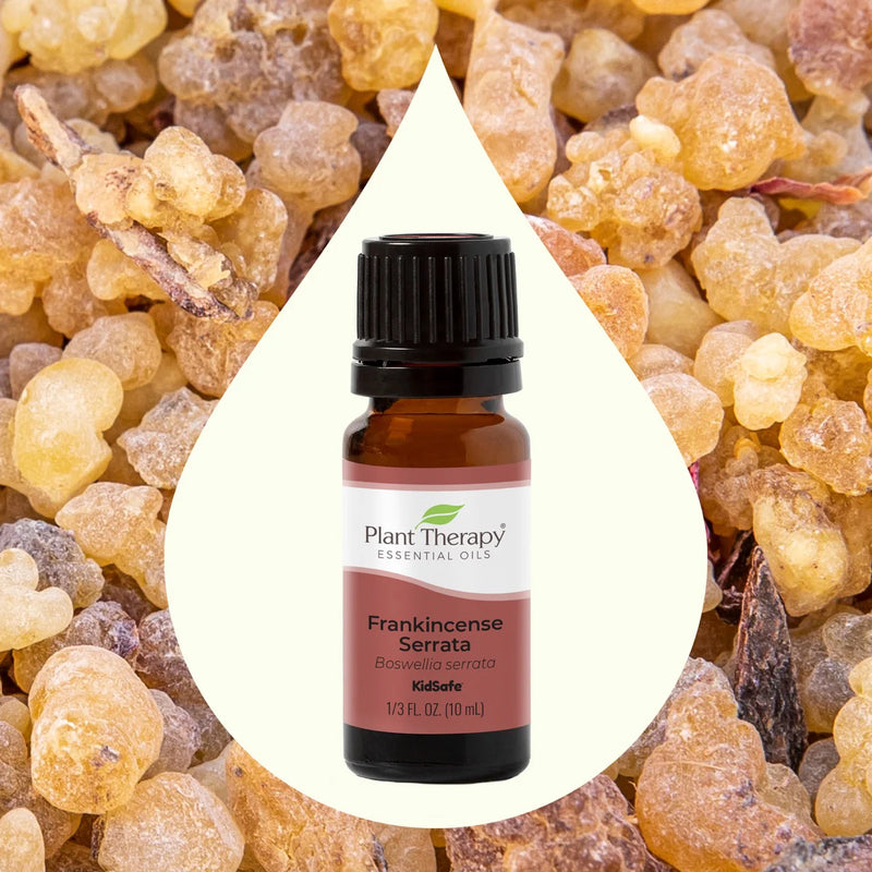 Tamaie - Frankincense Serrata - Ulei esential