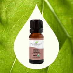 Oleorasina de Copaiba - Ulei esential Organic