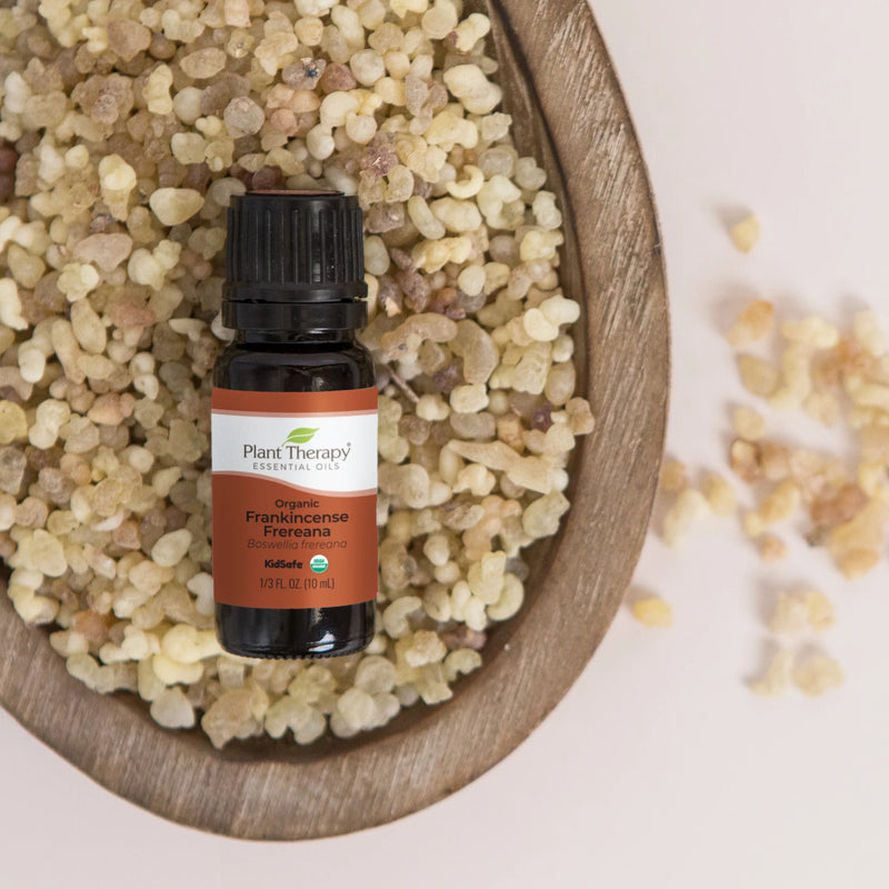 Tamaie - Frankincense Frereana - Ulei esential Organic