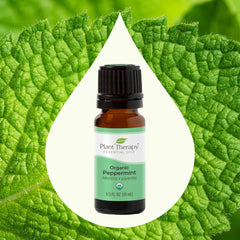 Menta - Ulei esential Organic