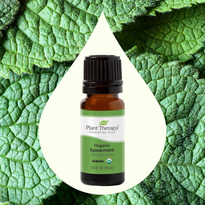 Menta creata - Spearmint - Ulei esential Organic