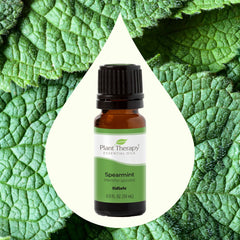 Menta creata - Spearmint - Ulei esential