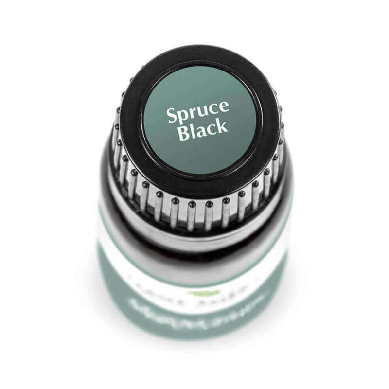 Ulei esential de Molid negru - Spruce Black