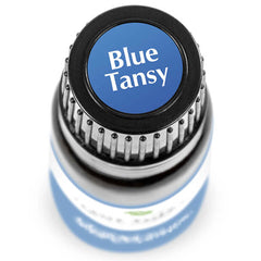 Musetel Albastru (marocan) - Blue Tansy - Ulei esential