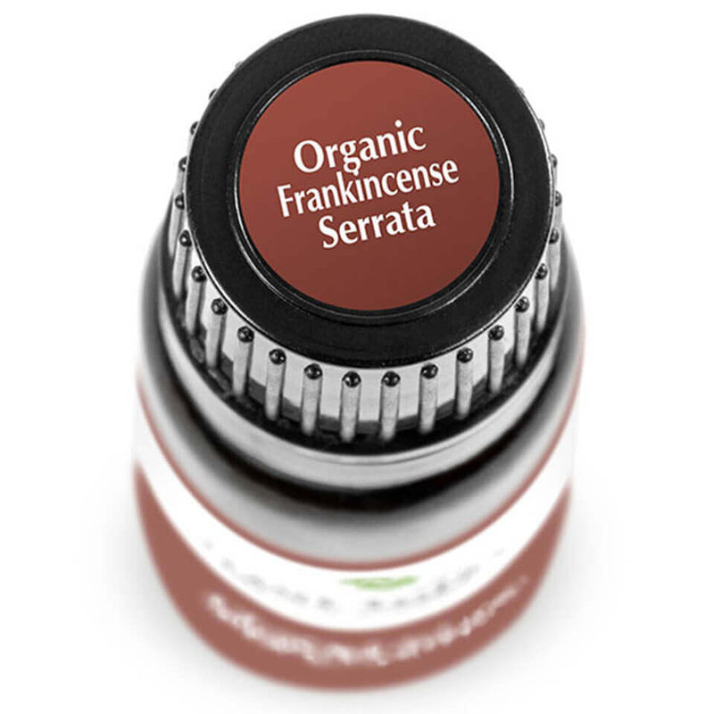 Tamaie - Frankincense Serrata - Ulei esential Organic